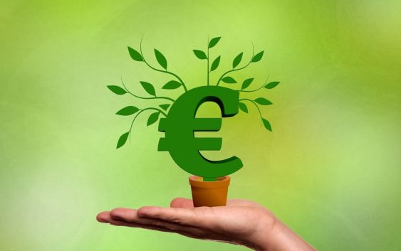 Tipy pro dlouhodobé investice
